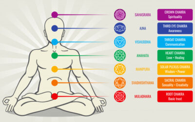 Wortelchakra 1 Stabiliteit en Vertrouwen